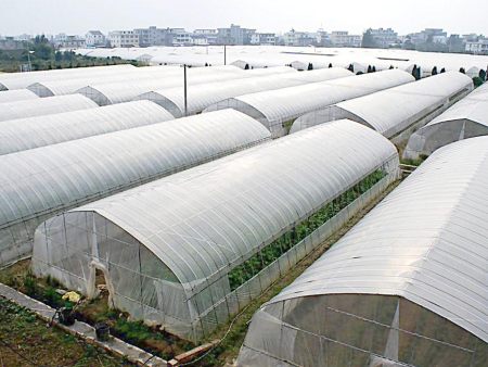 蔬菜基地