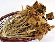茶樹菇批發(fā)價(jià)格